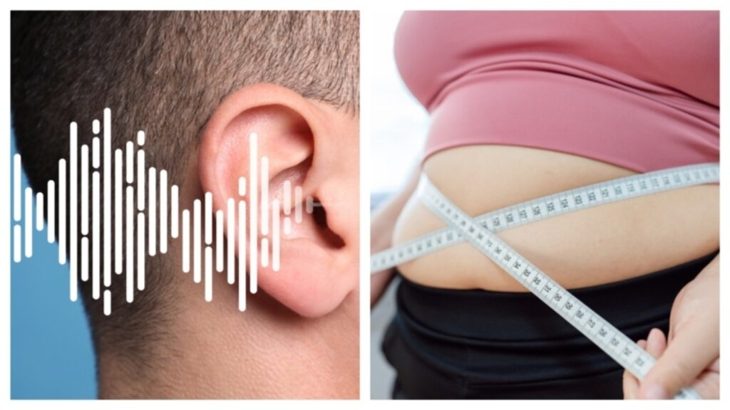 Weight loss through sound: Study reveals groundbreaking non-invasive method to reduce fat | Health