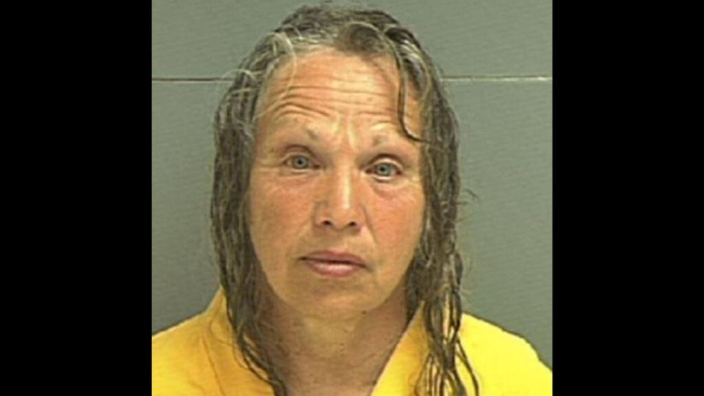 Who is Wanda Barzee? Elizabeth Smart’s kidnapper arrested after visiting Utah parks, gives bizarre excuse