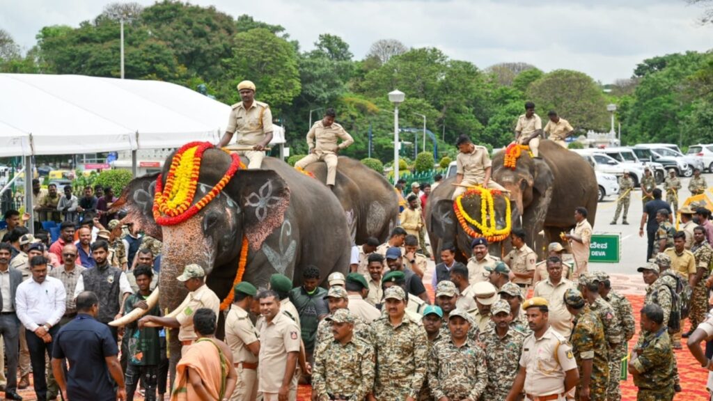 Why Karnataka handed over Kumki elephants to Andhra Pradesh? A step to curb rising human-elephant conflicts | Bengaluru