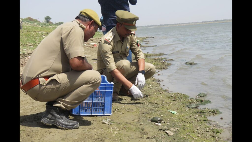 World Turtle Day today: Sarnath breeding centre boosting conservation efforts