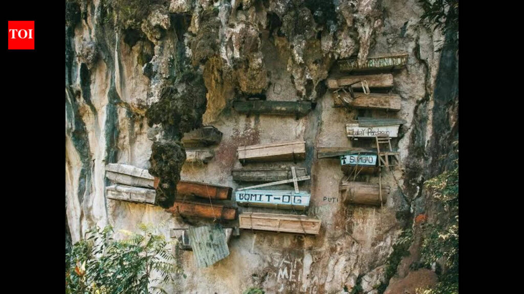 For centuries, China’s hanging coffins had no known builders. Ancient DNA now points to the Bo people | World News